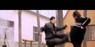 Jackie Chan Presents: Wu shu Trailer