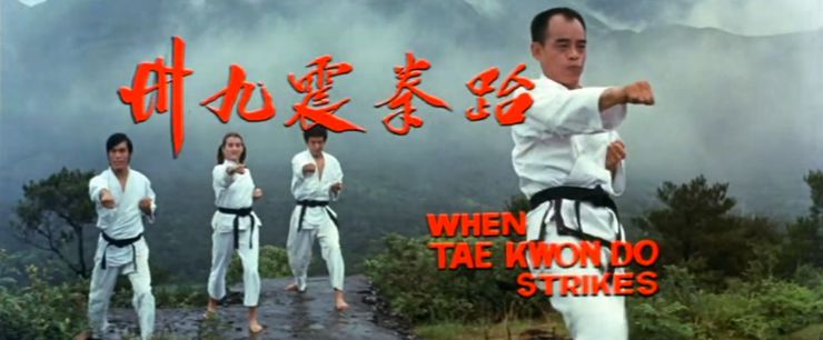 When Taekwondo Strikes 1973