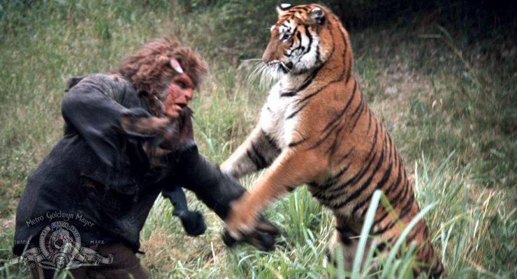 Bob Ozman fighting a tiger as Bullman in The Island of Dr. Moreau