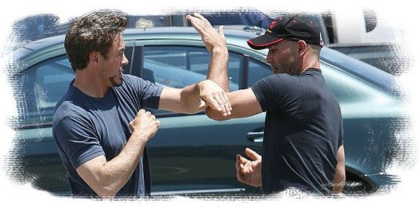 robert downey jr. wing chun