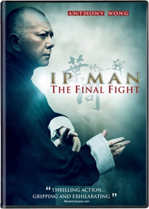 Ip Man The Final Fight