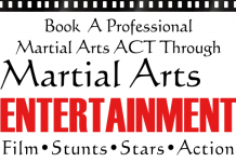 Book ACTs through Martial Arts Entertainment