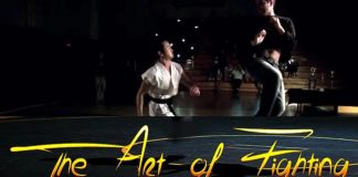 The Art of Fighting Film