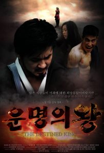 The Destined King Poster