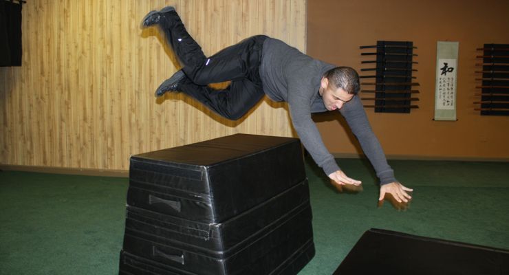 Martial Artist to Film Performer - Acrobatics