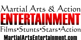 Martial Arts Entertainment Logo